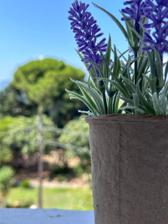 Olia Apartment Corfu  Luaran gambar